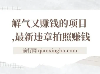 最新违章拍照赚钱项目：随手拍摄，轻松增收