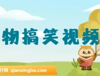 AI软件一键生成原创动物搞笑视频，助力流量收益