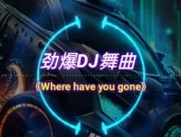 2025年车载必备：326首抖音精选DJ嗨曲合集，劲爆热辣