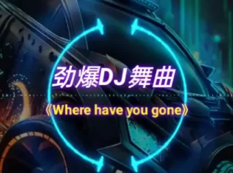 2025年车载必备：326首抖音精选DJ嗨曲合集，劲爆热辣