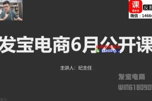 纪主任亲授：拼多多运营必修课，0基础起店到爆单实战