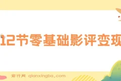 12节零基础影评变现课程