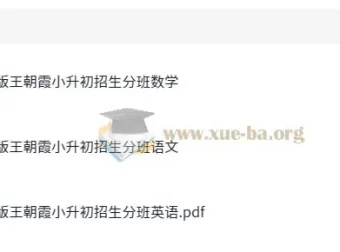 王朝霞2025版小升初重点校毕业升学招生分班卷：语数英