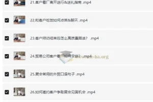 外贸全能商务英语课：助力轻松谈生意、拿订单