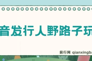 抖音发行人野路子玩法：手机操作日赚2000+教程