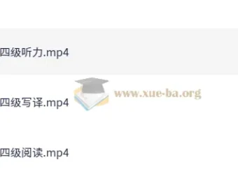 刘晓燕2025年6月四六级考试急救班（原保命班）