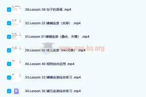 雪梨老师英语精品三合一课程