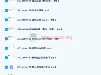 雪梨老师英语精品三合一课程