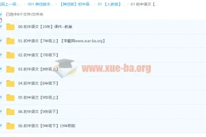 2019年新版初中语文【课件ppt·教案·习题】合集
