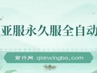 魔兽亚服永久服全自动搬砖保姆级教学（附教程与脚本）