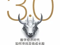 《价值投资3.0：数字经济时代如何寻找百倍成长股》