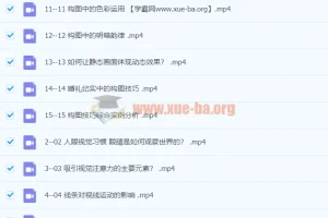 周森Forest《解码构图》摄影构图教程