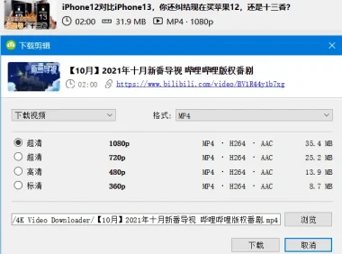 4K Video Downloader：多功能视频下载工具