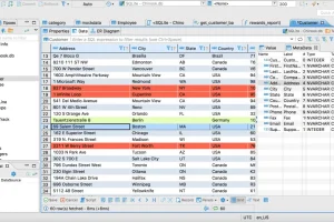 数据库管理工具 DBeaver Community Edition 中文版