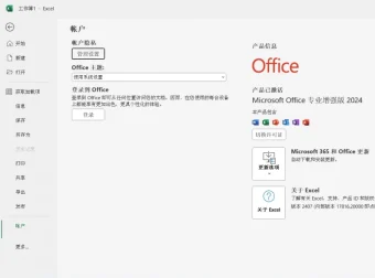 Office 2024 AI 绿化精简四合一64位全功能版