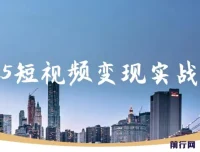 视频号0-1变现实战课：杨磊老师教你AI爆款脚本与四大变现，普通人30天月入5000+