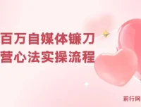 年入百万自媒体镰刀训练营：自媒体心法与实操全套流程（31节课）