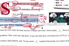 2024初中时文阅读特训营（七八九年级第26期，共62节）