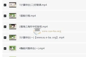 2025 小学数学小升初：六年级数学培训 S 班（史乐 下）