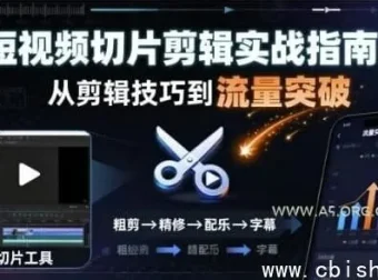 短视频切片剪辑实战：快速涨粉变现专业指南