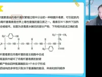 2025高一段瑞莹生物必修一系统精讲班：细胞结构与功能全突破
