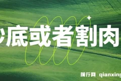 付费文章：抄底或者割肉？“雷劈下来的时候，你一定要在现场”VS“活着，才有资格继续下注”