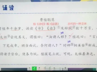 2021秋季小学五年级语文勤思A+班：陈照老师精讲课程