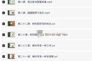 凯叔《孩子需要学会的思维导图课》