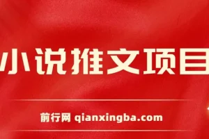 小说推文项目：新人6天日入三位数分享课