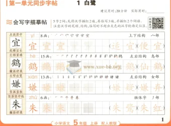 25秋1-6年级语文上册王朝霞活页同步字帖（人教版）
