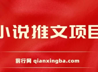 小说推文项目：新人6天日入三位数分享课