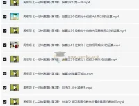 周根项《一分钟速算》40集：幼儿数学启蒙之指算法与加减乘除法