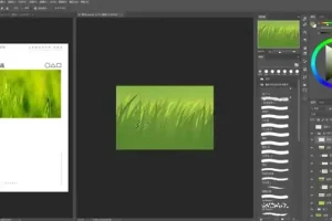 风绽主观设计概括特训营：掌握核心技巧，提升设计创作能力