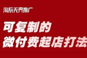 淘宝微付费起店打法课程：轻松可复制的微付费运营策略