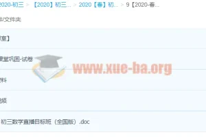 2020春朱韬初三数学目标班（全国）