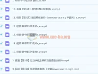 2024年袁帅高一物理S秋季班课程