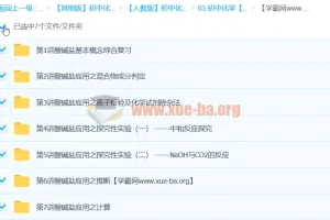 2012中考化学专题：元素化合物之酸碱盐复习资料