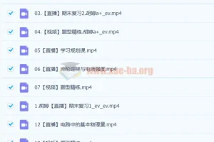 2023高考物理胡婷a+全年暑假班（更新10讲）