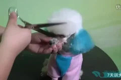 零基础驯狗师课程：幼犬训练与行为纠正全攻略，专业驯狗师亲授