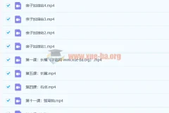 程一墨毛笔字书法课12讲高清视频教程