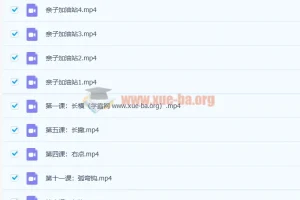 程一墨毛笔字书法课12讲高清视频教程