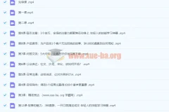 LadyBoss柳婉琴：12堂口才表达课