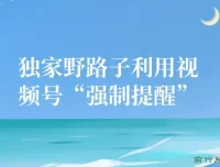 独家野路子：视频号“强制提醒”引流创业粉课程