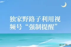 独家野路子：视频号“强制提醒”引流创业粉课程