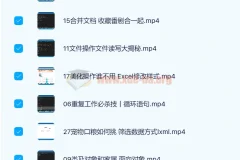Python实战精讲：萌新系统入门课程