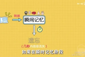 超强记忆力训练：全学科高效提分精品课程