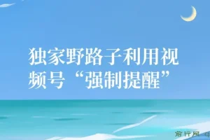独家野路子：视频号“强制提醒”引流创业粉课程