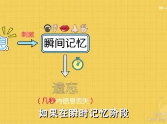 超强记忆力训练：全学科高效提分精品课程