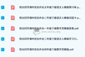 2024年阳光同学课时优化作业：小学全年级多科目同步练习资料