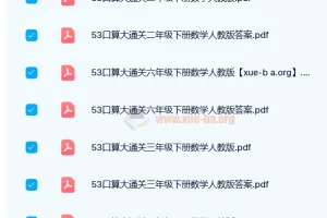 2024春小学数学53口算大通关（人教版）